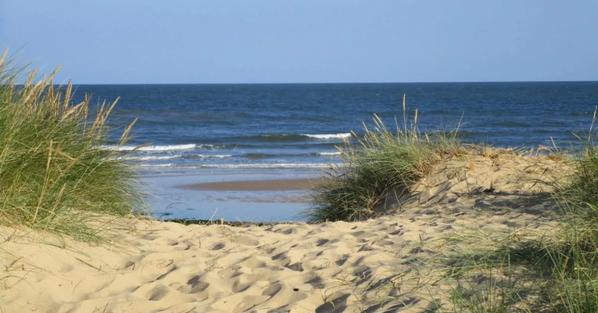 Walking the beach is our favourite thing to do in Walberswick. Photo shows golden sand dunes leading to the sea.