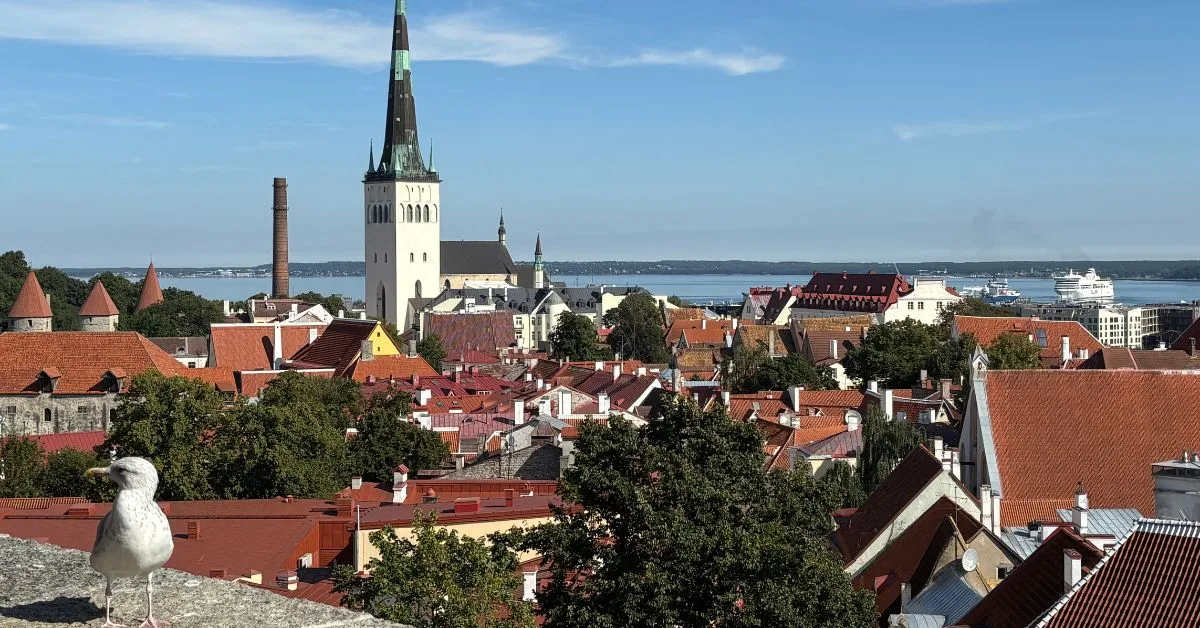 View of Tallinn showing red roofs and churches with a seagull perched on a stone wall in the foreground