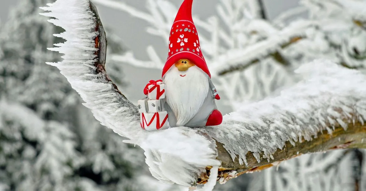 Christmas gnome ornament sitting on a snowy branch holding gifts