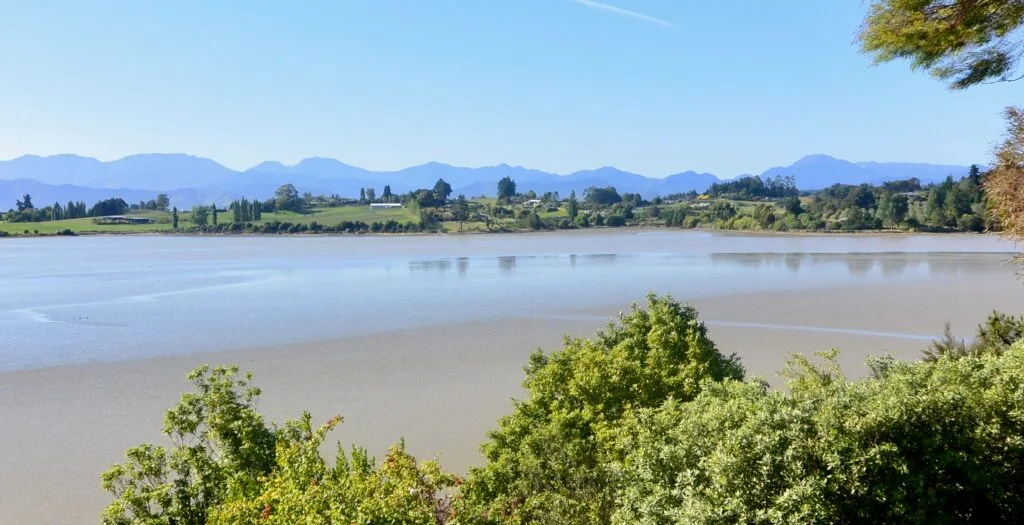 Low tide exposes soft sand in sheltered coves of the northern tip of the southern island of New Zealand. There is a ring of green trees and foliage skirting the waters up from the beach.