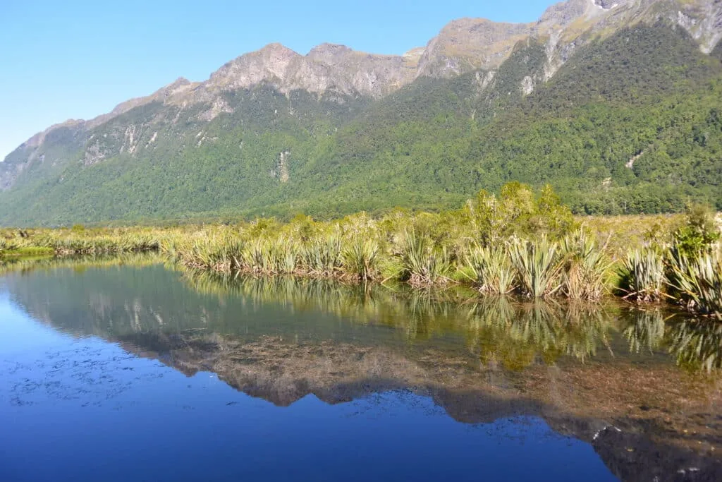 A reflection of mountains, trees and yellow shrubs in clear waters.