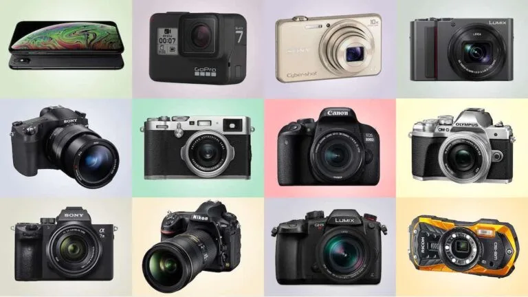 A display of digital cameras.