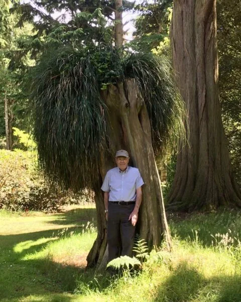 Man standing next to a tree.