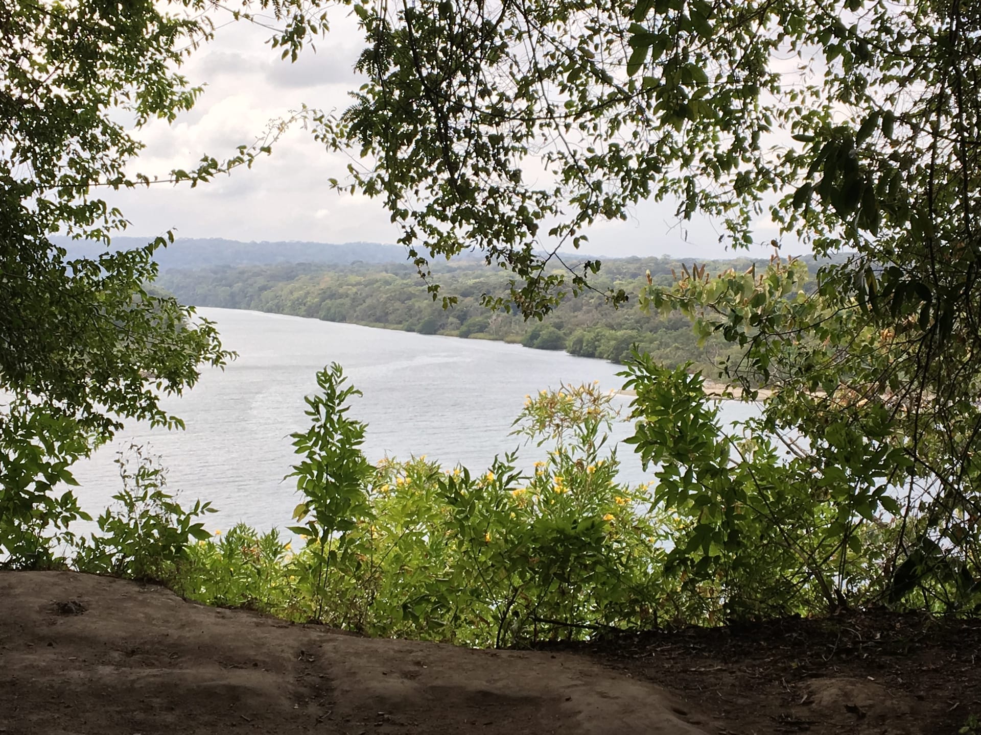 Tropical river jungle overlook