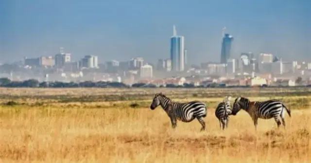 13 Places to Visit in Nairobi