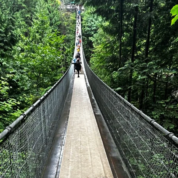 A pedestrian suspended bridge crossing a gorge and forest near Vancouver.