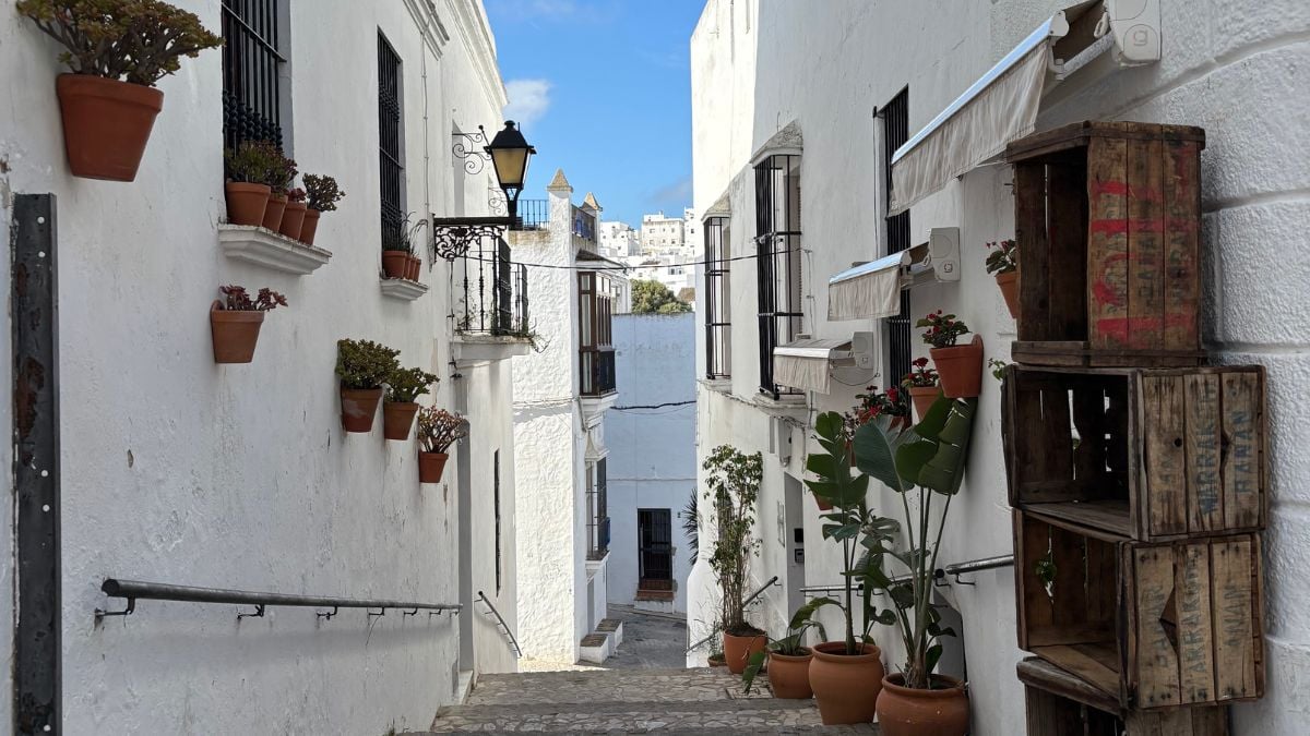 Whitewashed cobbled street in Vejer de la Frontera with flower pots and traditional doors