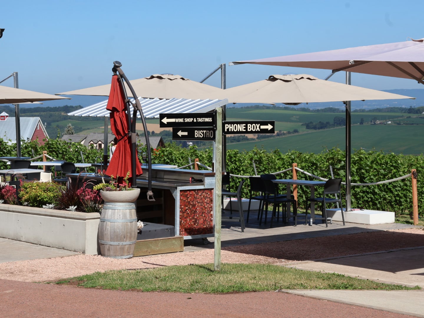 Outdoor patio at Luckett Vineyards overlooking the vines in the Annapolis Valley
