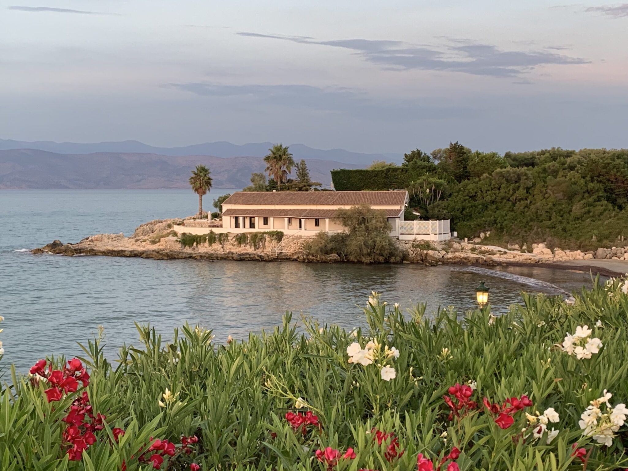 Flowers in a field of grass looking over to a beach resort in Corfu, Greece.