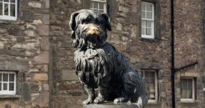 Edinburgh has favourite dog. Learn the secret story about Greyfriars Bobby!
