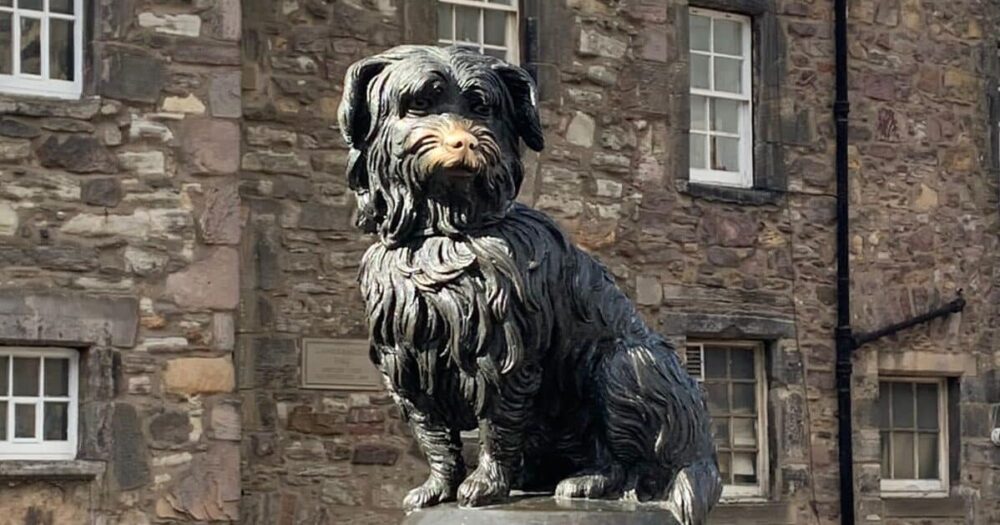 Edinburgh has favourite dog. Learn the secret story about Greyfriars Bobby!
