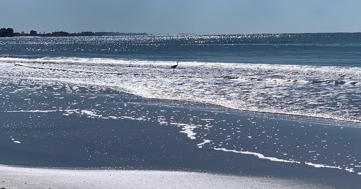 Siesta Key to Anna Maria Island
