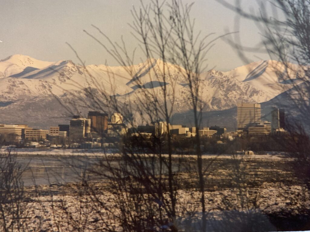 View of Anchorage from the Coastal Trail