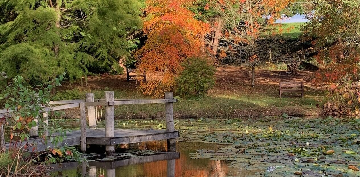 A country scene in Hampshire England which is a popular weekend destination. It is fall so there are orange leaves above a small pond with a wooden jetty.