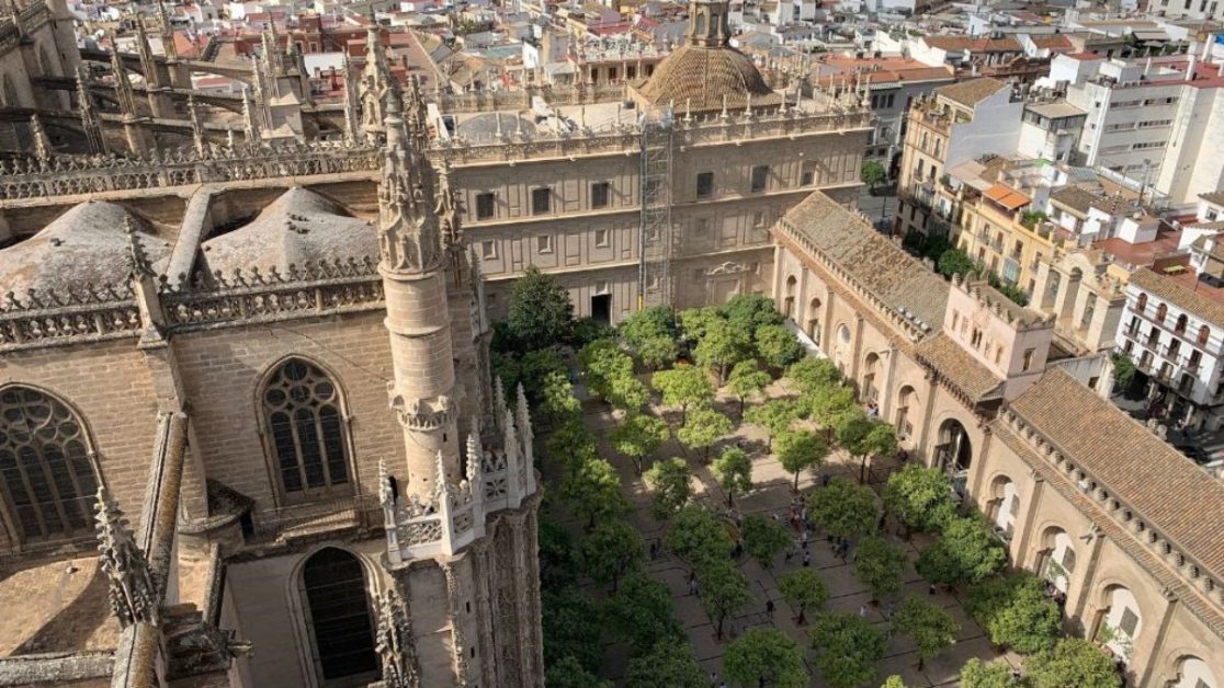 Seville Rooftops and a courtyard of trees as seen from the Giralda Tower viewpoint.