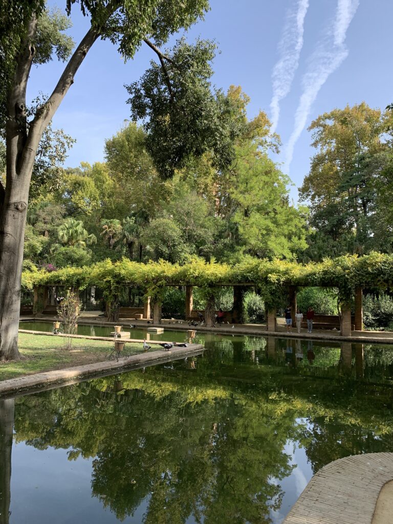 A pond and trees are to be found in Maria Luisa Park, Seville.