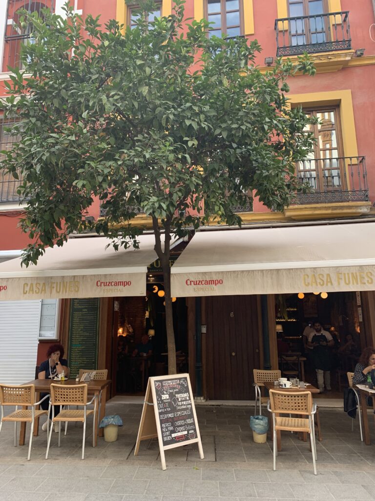 A retractable roof and old tree provide outside shade for outdoor tables of a restaurant/cafe in Seville.