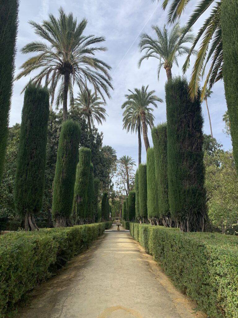 Garden palace with green hedges and trees forming a straight avenue.