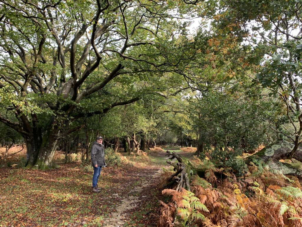A man is walking through a forested area in fall with leaves decorating the path orange, yellow and brown.