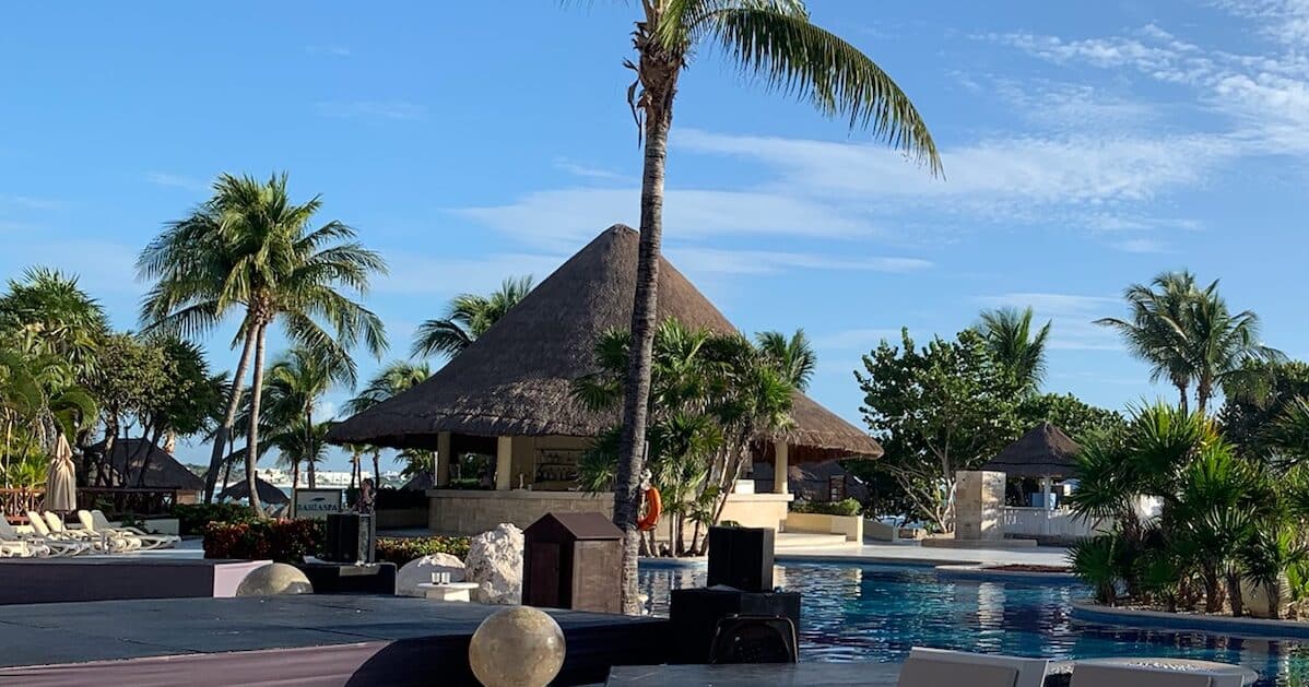 A palm tree and swimming pool area with a cabana bar.