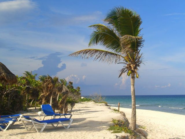 Palm trees and a few sun loungers on a sandy beach with ocean lapping.