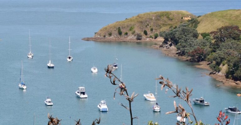 Boats shelter in a bay near Auckland New Zealand.