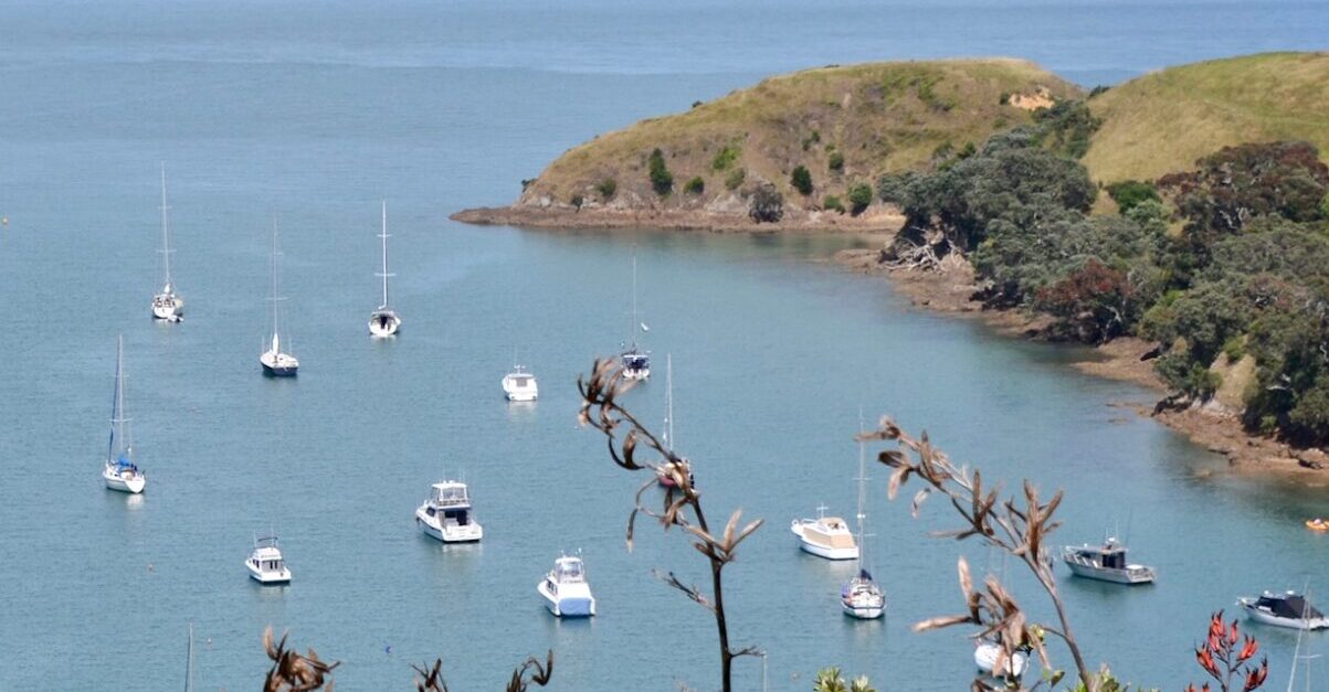 Boats shelter in a bay near Auckland New Zealand.