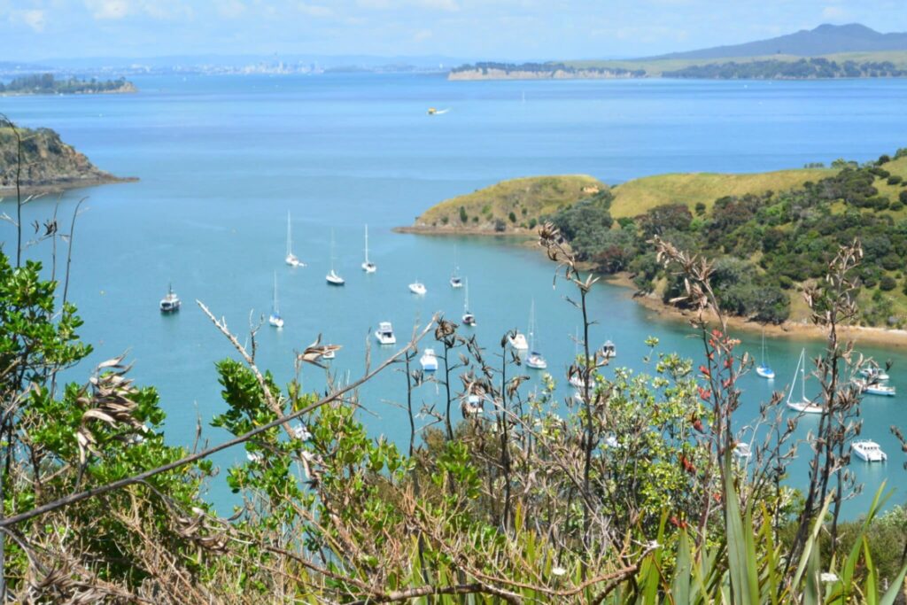 A view of an inlet with small boats sheltering from Waiheke Island on a a tour of New Zealand. There are many wild flowers growing on the cliff top.
