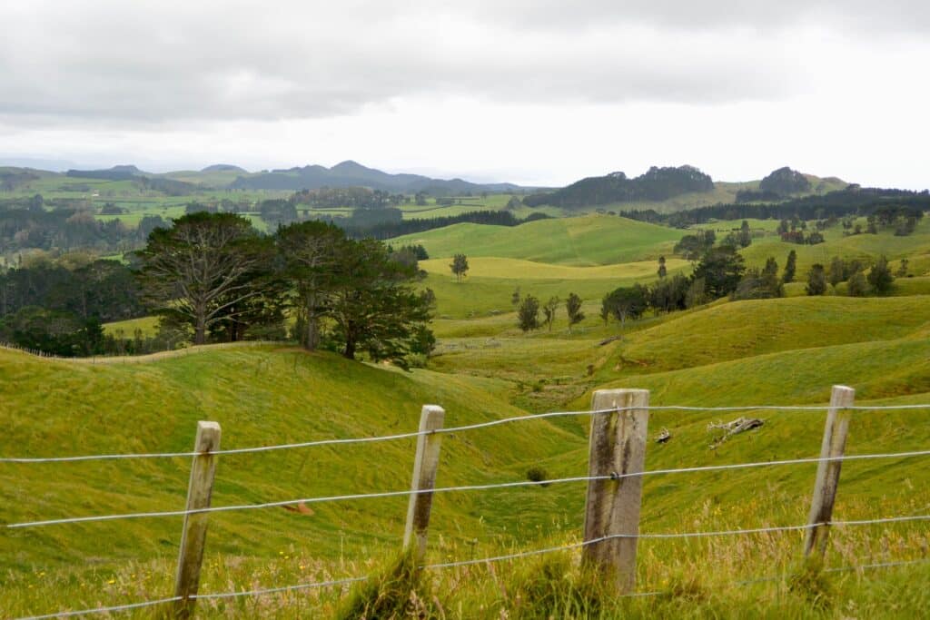 A road side fence and beyond fields of lush green grass used for grazing. The land is undulating with small hills and valleys, typical of what you will see when Touring New Zealand.