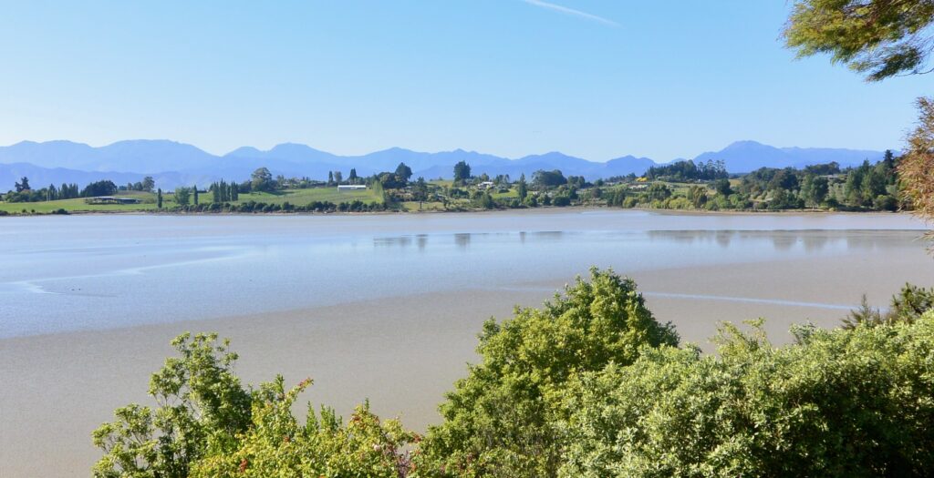 Low tide exposes soft sand in sheltered coves of the northern tip of the southern island of New Zealand. There is a ring of green trees and foliage skirting the waters up from the beach.
