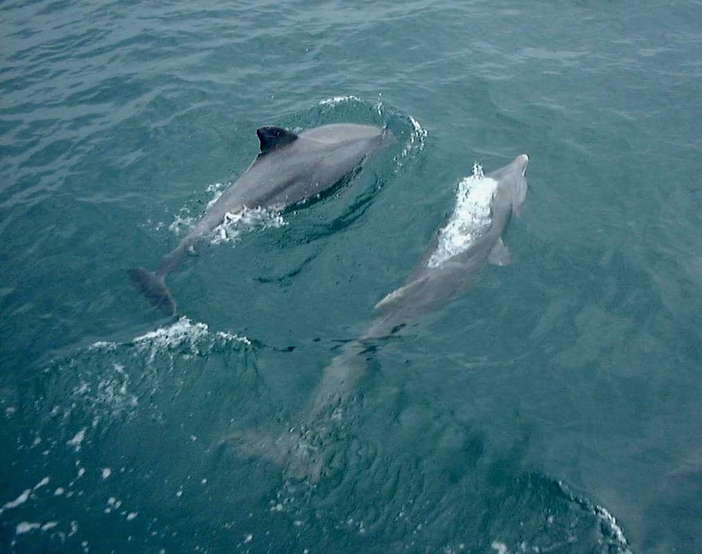 Things To Do in Sarasota Florida Local Guide To Fun In The Sun☀️