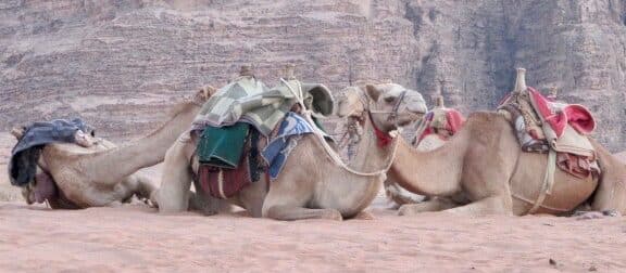 Incredible 7 day Jordan Itinerary