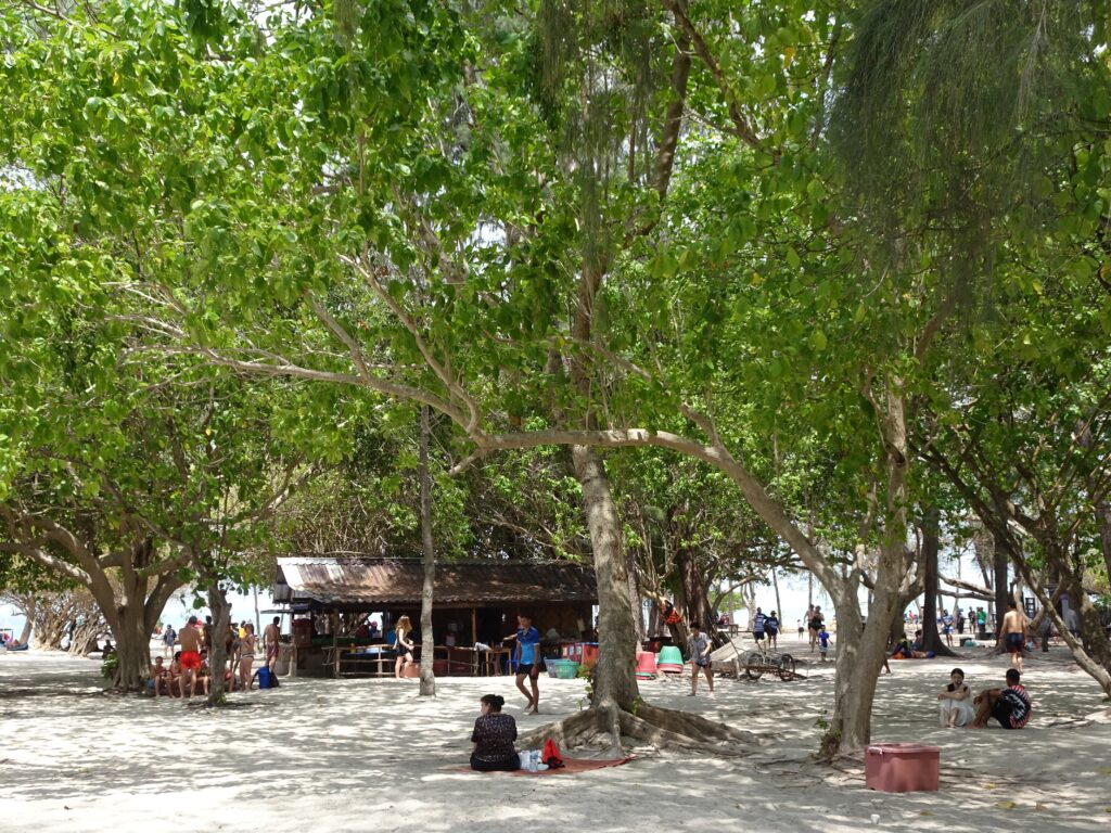 Large trees with foliage offer shade to locals on a hot day in Thailand.