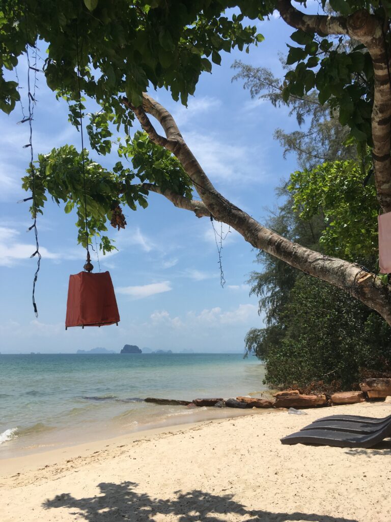 A large lantern hangs from the branch of a tree over a beach in Thailand.