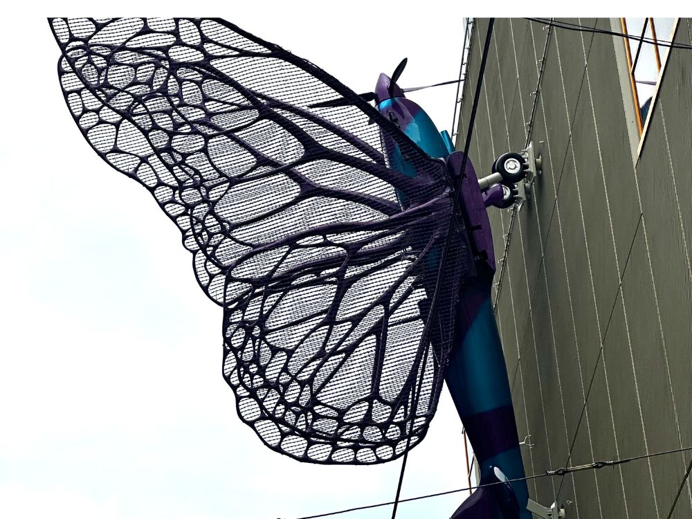 A small plane with Butterly style wings is attached vertically to a building as a piece of art.