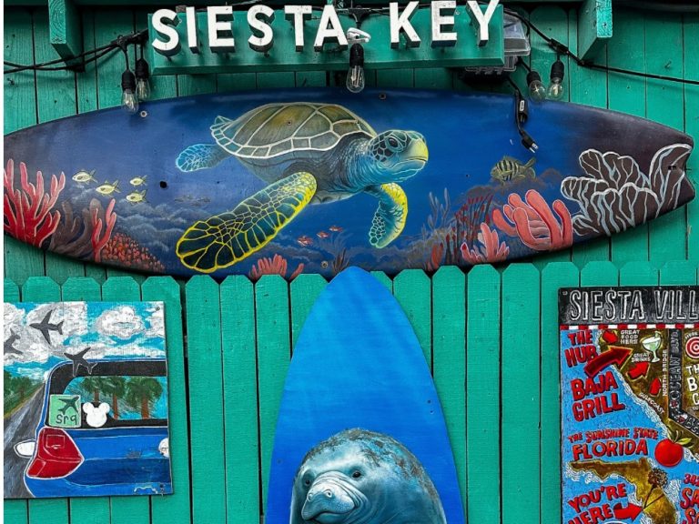 Siesta Key Village Street Art shows a turtle and manatee painted on a wall.