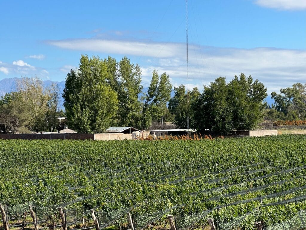 Where to Go October to December post features wine growing region of mendoza. This image is of one of the many vineyards with a pond and tree lines vines.