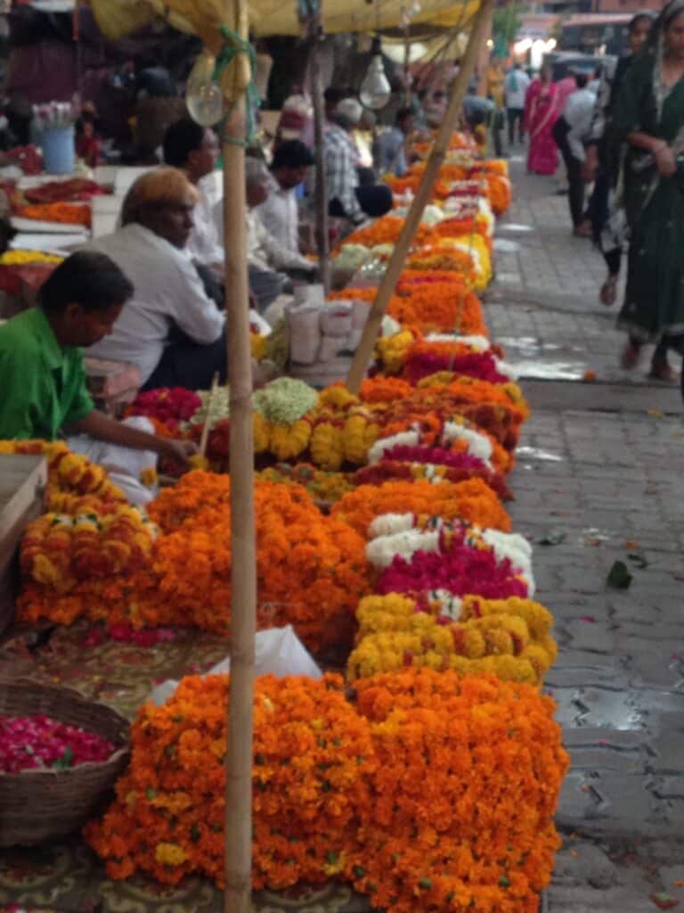 Flowers for sale on a street in Jaipur. They are orange and yellow in colour.