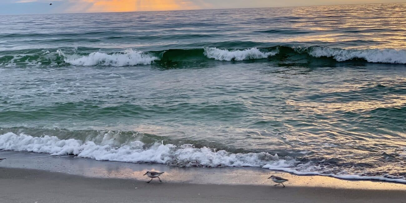 Captiva Island has beautiful remote beaches and a very small town feel. This photos shows the beach at sunset.