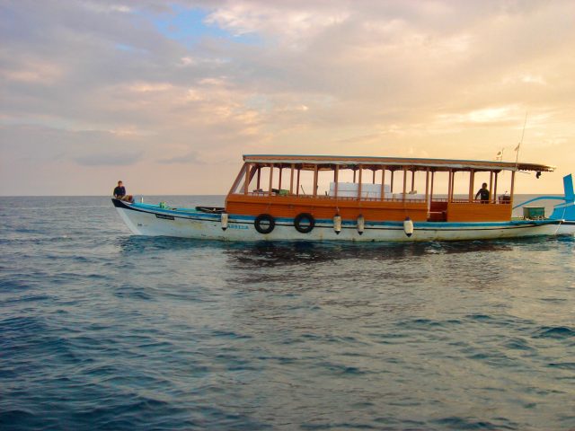 A traditional wooden fishing boat of The Maldives with a cabin section and front/back open areas to fish from. The boat hull is painted blue and white. Two fishermen are aboard.