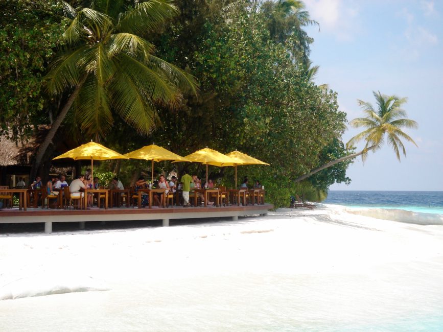 Dining Area next to the beach in the Maldives. Yellow umbrellas shade guests as they eat. The beach is fringed by palm trees.