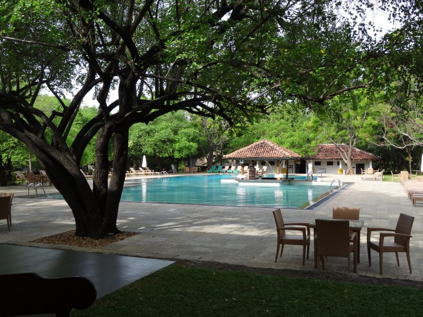 Hotel swimming pool with large trees for shade, tables to sit and have a drink and sun loungers. A swim up bar is under a small shaded hut area.