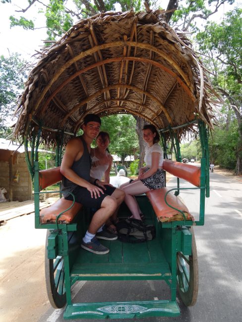 Tourists are riding in a Bullock Cart which is a small vehicle used to transport animals in the past. It is green with a thatched shade roof.