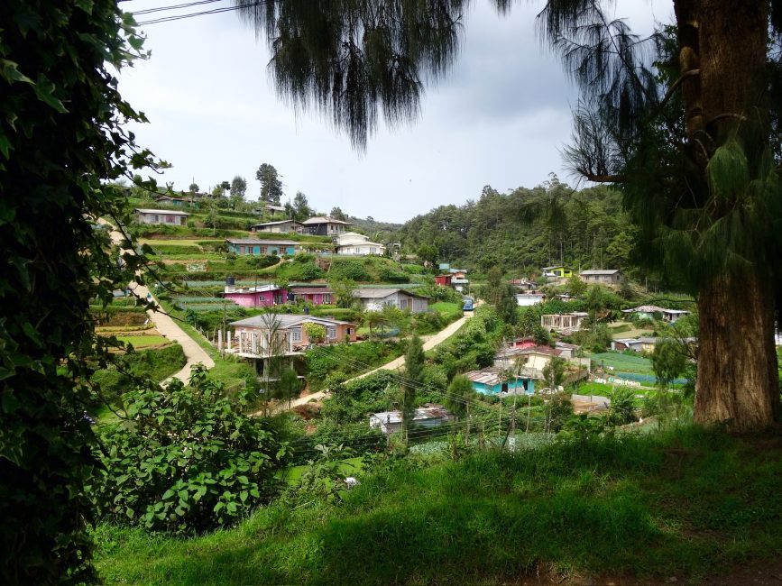 Village in the Sri Lankan Highlights fill the hillside with homes and foliage.