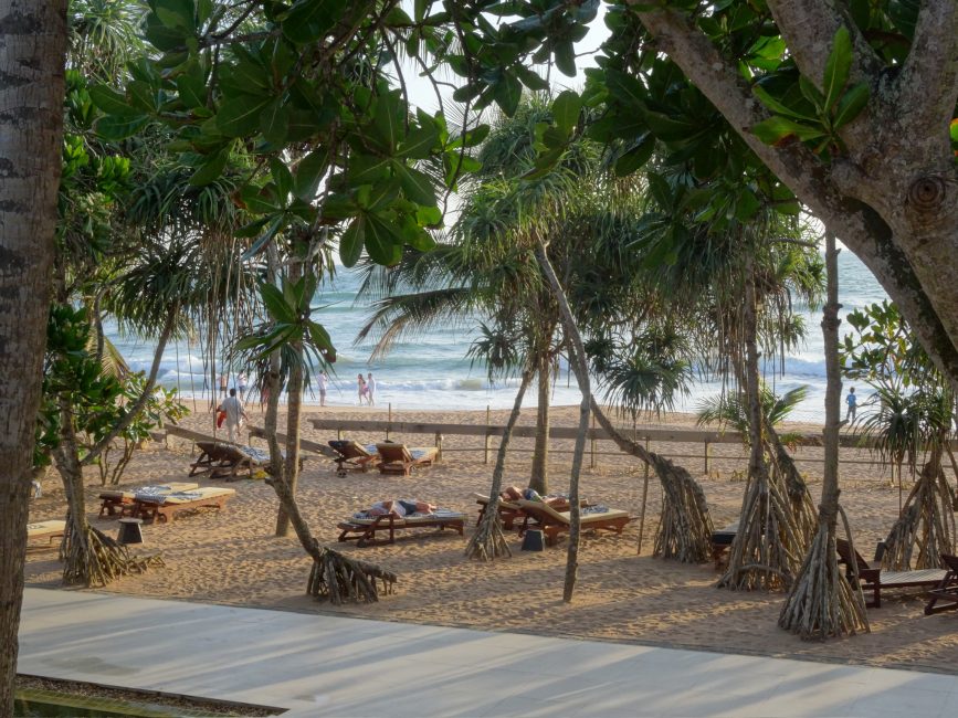 People relaxing on sunloungers at a beach in Sri Lanka. Large banyans offer shade from the sun.