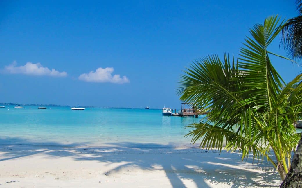 Boats are anchored in the clear blue waters off an island in The Maldives. A small jetty is in the distance attached to a resort. A sandy beach is shaded with palm trees.
