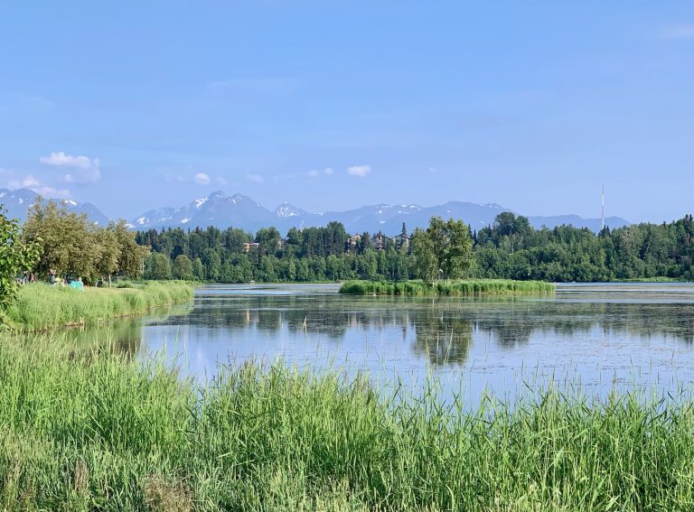 View of a small lake surrounded by trees and in the background snow peaks of Church Mountains Alaska.