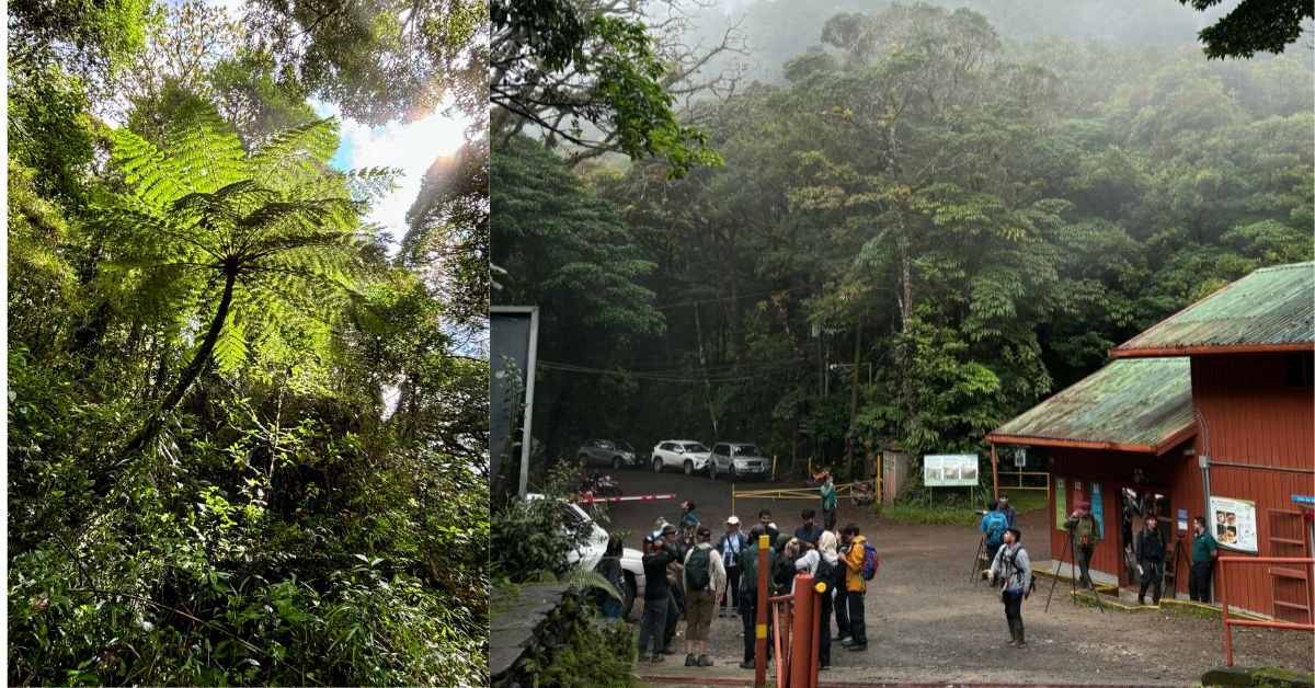 Reception hut area at entrance to the cloud forest in Monteverde