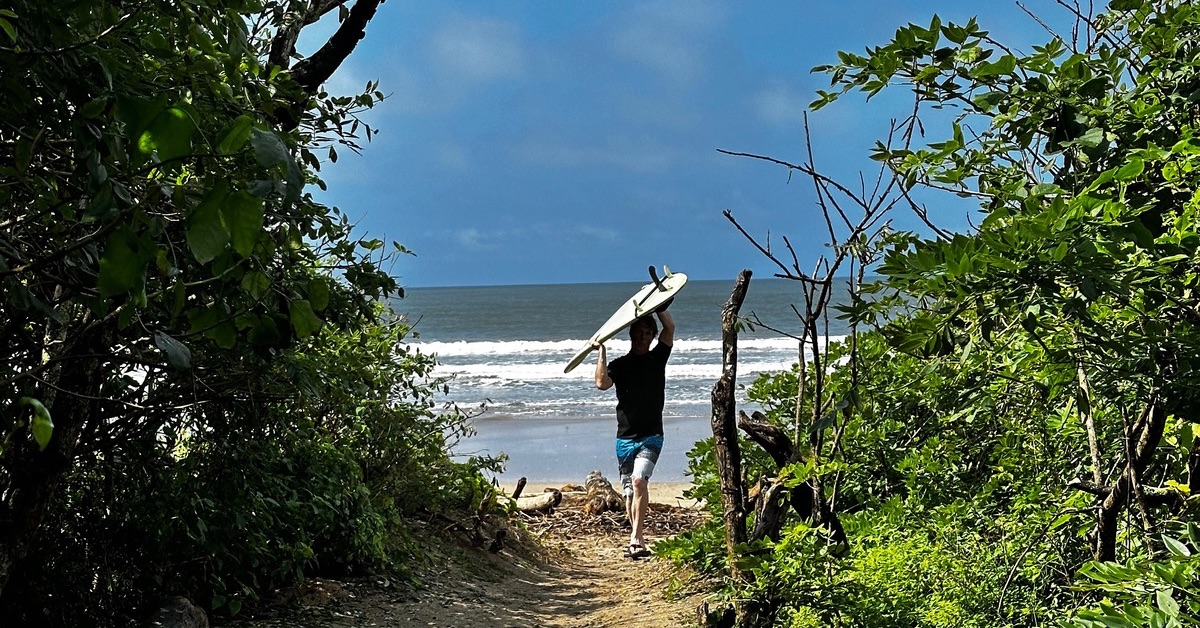 Surfer walking through a forested path to the beach with a board over head.