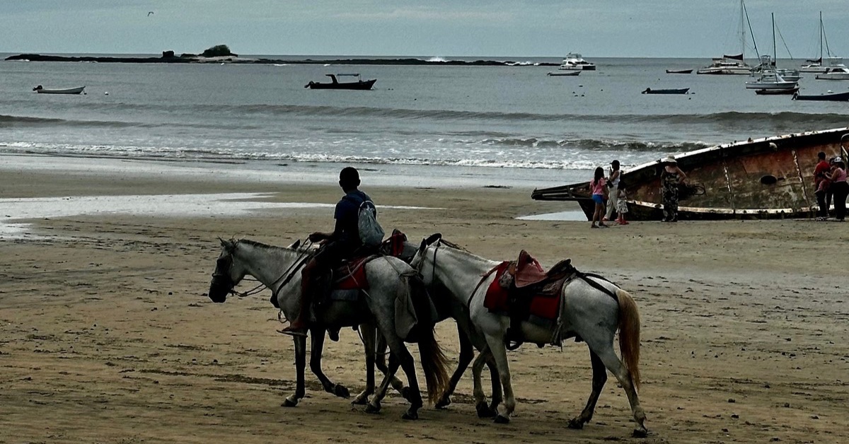 3 horses on a beach available to hire. Many sail boats are anchored.